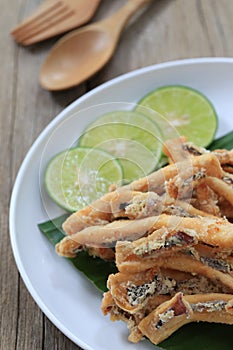 fried squid of Thai seafoods in the white dish on wood floor.