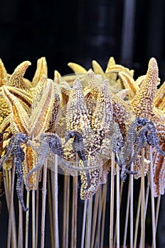 Fried starfish and fried Seahorse - China traditional food at Wangfujiang street