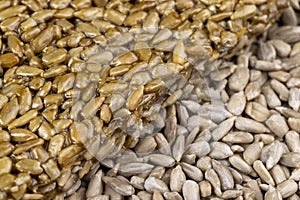 Fried sunflower seeds with sweet molasses from sugar beet