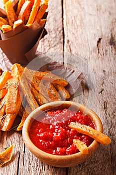 Fried sweet potato slices with herbs and tomato sauce closeup. v