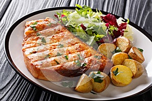 Fried swordfish steak with baby potatoes and fresh salad close-up on a plate. horizontal