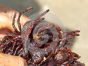Fried tarantulas for sale in Cambodia