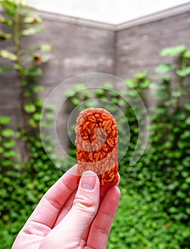 Fried tempeh / tempe held by hand, Indonesians usually eat these savory snacks using their hand. Tempeh a traditional Indonesian s