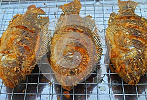 Fried tilapia fish