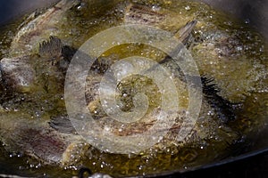 Fried Trichogaster pectoralis in large pan