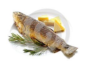 Fried trout