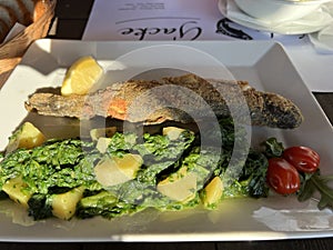 Fried trout or grilled trout served with mangel and boiled potatoes, Croatia - Przena pastrva ili pastrva sa zara