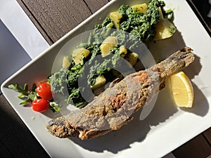 Fried trout or grilled trout served with mangel and boiled potatoes, Croatia - Przena pastrva ili pastrva sa zara