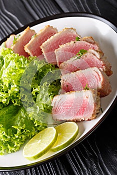 Fried tuna steak in bread crumbs with lettuce and lime closeup.