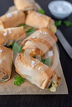 Fried Turkish Cigar Shaped Rolls - Spring roll Sigara Borek