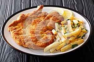 Fried veal cutlet Milanese with lemon and French fries close-up