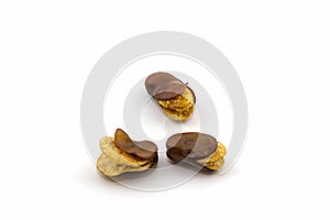 Fried Vicia faba bean.