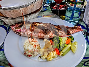 Fried whole fish with rice and vegetables on plate at lunch table setting