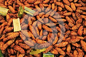 Fried worms are street food.