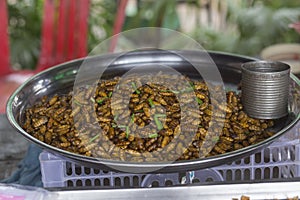 Fried worms at a street food stall in Cambodia