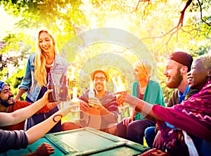 Friend Celebrate Party Picnic Joyful Lifestyle Drinking Concept