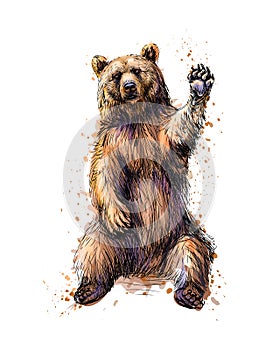 Friendly brown bear sitting and waving a paw from a splash of watercolor