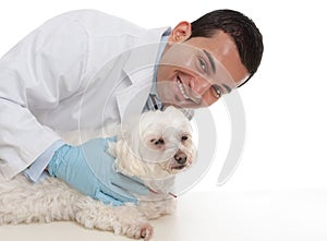 Friendly caring vet with a sick animal
