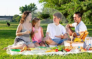 Friendly family at picnic