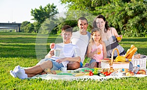 Friendly family at picnic