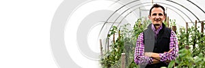 Farmer at work in greenhouse.