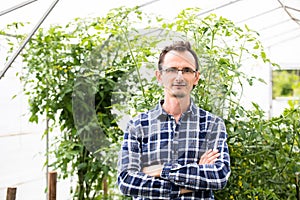 Farmer at work in greenhouse.