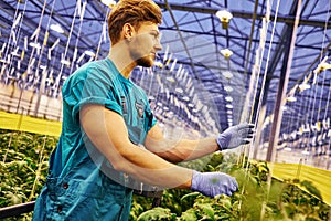 Friendly farmer working on hydraulic scissors lift platform in greenhouse