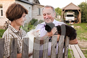 Friendly neighbors discuss their cats on the farm