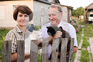 Friendly neighbors discuss their cats on the farm