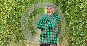 The friendly owner of the plantation stands in the field with hops, crosses his arms