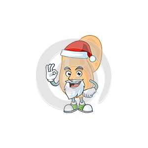 Friendly sarcina Santa cartoon character design with ok finger photo