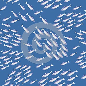 Friendly schools of fish.