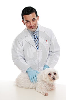 Friendly vet holding pet animal