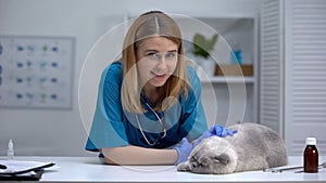 Friendly vet stroking cat, smiling on camera, professional and caring pet doctor