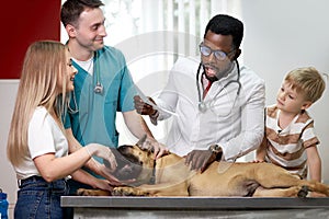 Friendly woma and child came to the vet with a dog