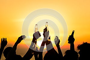 Friends Beach Party Drinks Toast Celebration Concept