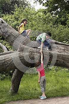 Friends Climbing On Fallen Tree