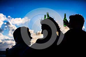 Friends drinking bottled beer at beach