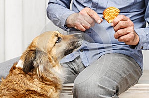 Friends forever: man feeding his lovely dog