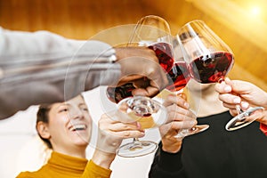 Friends hands toasting red wine glass and having fun cheering with winetasting - Young people enjoying time together at home -