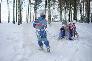 Friends have fun in wonderland, little boy pulls a sledge with sibling across winter forest