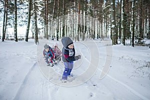 Friends have fun in wonderland, little boy pulls a sledge with sibling across winter forest