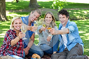 Friends having a picnic with wine