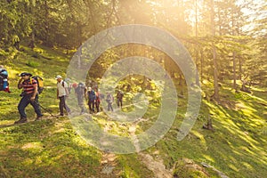 Friends hiking at Deo Tibba trek in Manali, Himachal Pradesh.