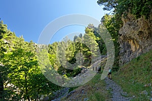 Friends hiking on Dirfi mountian on the islan of Evia of Euboea in Greece