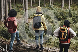 Friends hiking together in the forest