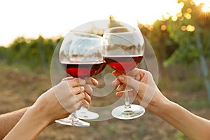 Friends holding glasses of wine