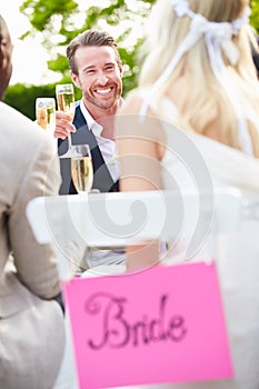 Friends Proposing Champagne Toast At Wedding photo