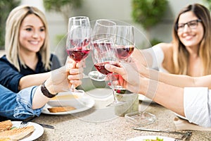 Friends raising their wine glasses for a toast