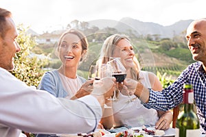 Friends raising toast